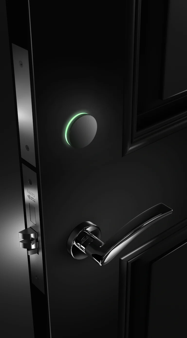 AElement_Fusion_black_door